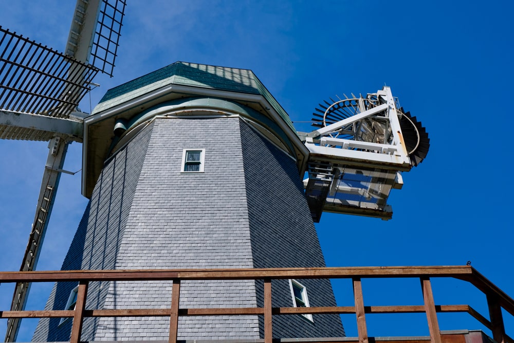 Golden Gate Park -Murphy Windmill - San Francisco, CA